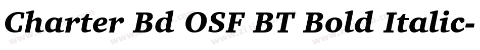 Charter Bd OSF BT Bold Italic字体转换